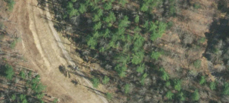 Land Parcel with Road Frontage