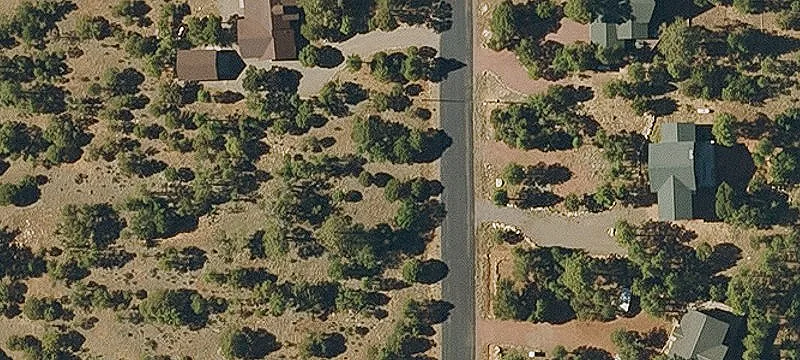 Treed Residential Home Lot