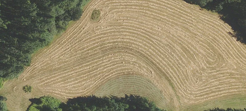 Farm and Timber Estate