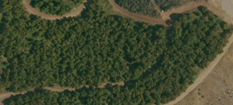Operating Avocado Orchard Property