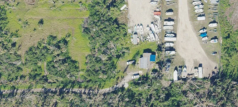 Oversized Specialty Lot