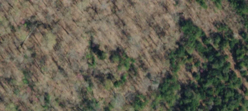 Commercial Land Near I-40 Interchange