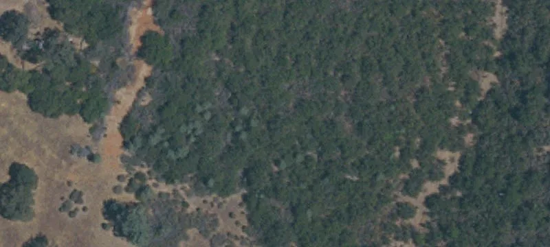 Multi-Parcel Hunting and Farmland