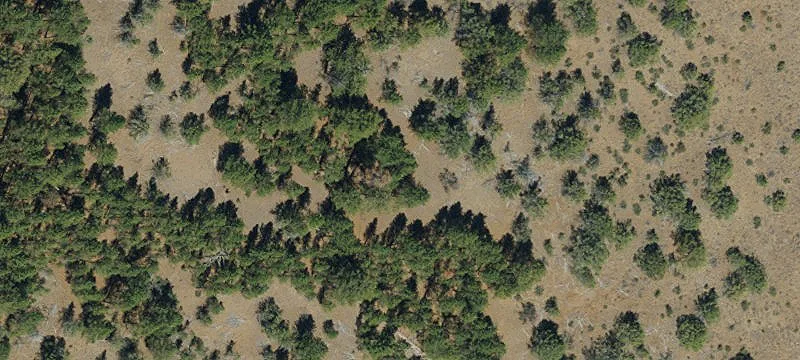 Residential Land Lot