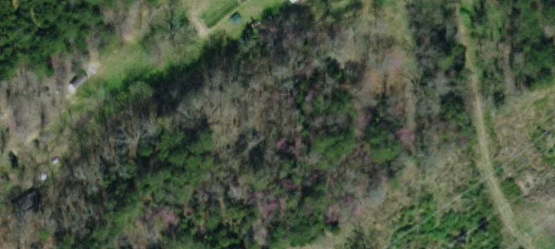 Residential Land with Large Pond