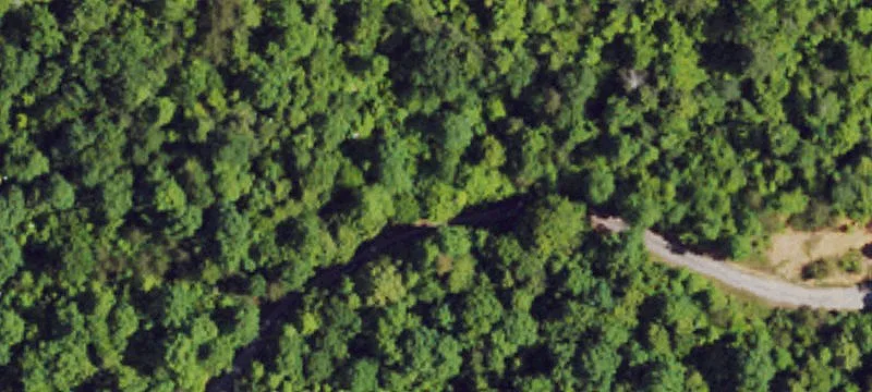Turn-Key Cabin Resort with Barns