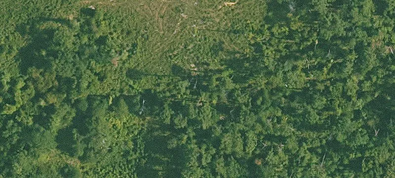 Agricultural Land Tract with Clearing