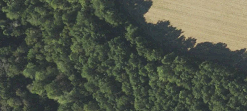Cleared Flat Estate Lot with Road Frontage