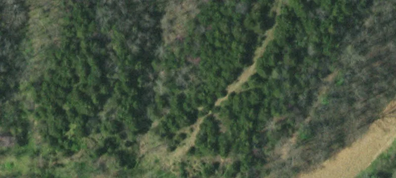 Rolling Timber Land Tract