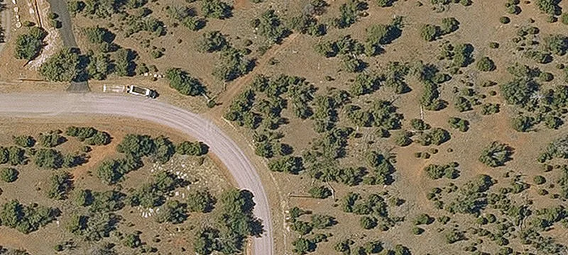 Treed Residential Land Parcel