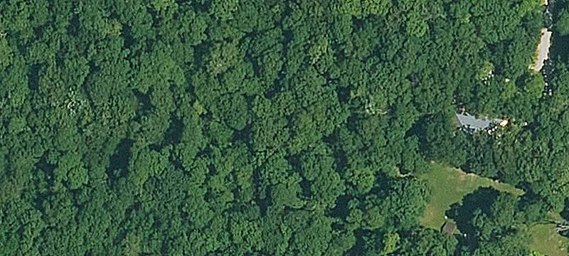 Brushed Recreational Land Tract
