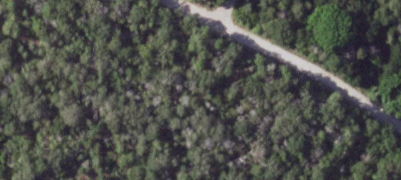 Private Wooded Home Site