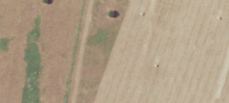 Small Farm with Two Residences