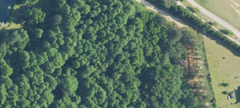Wooded Residential Homesite Land