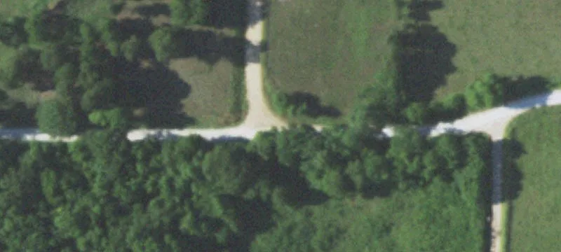 Wooded Hunting Tract Near Lake
