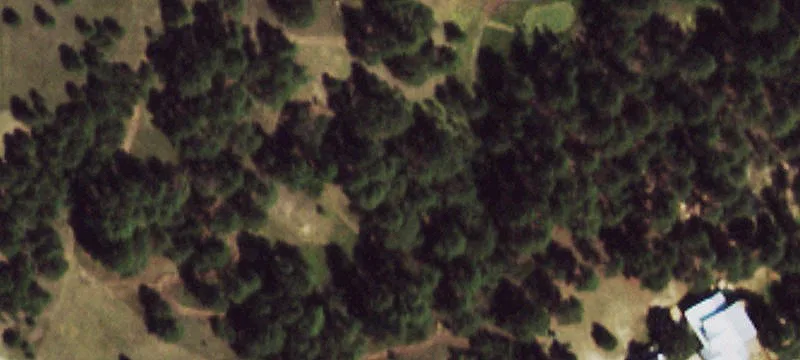 Treed Corner Horse Property