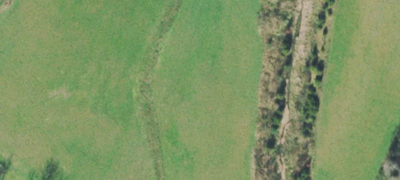 Recreational Hunting Land Tract