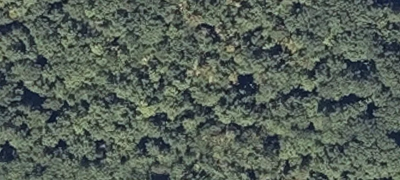 Wooded Residential Lots in Subdivision