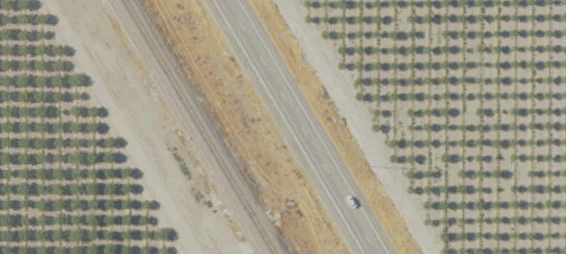 Open Farm Ground with Irrigation