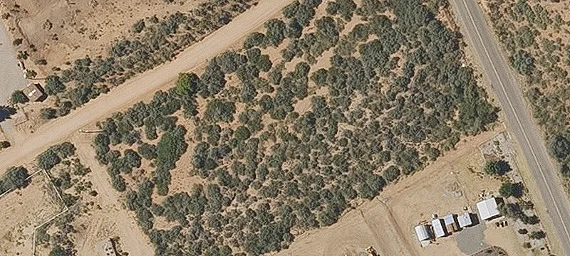 Rural Home Lot With Horses