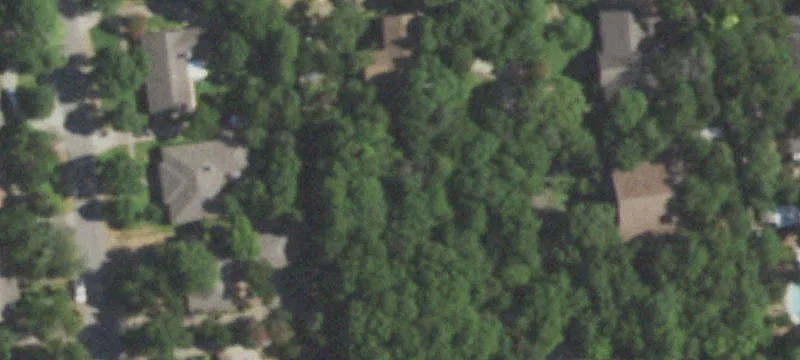 Treed Residential Building Lot