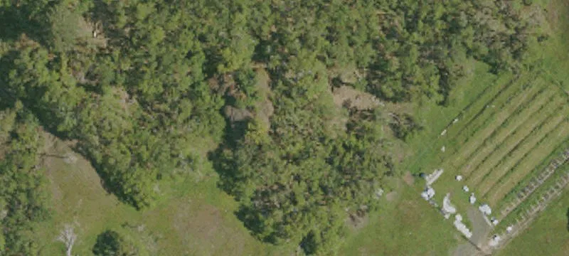 Douglas Fir Timberland Tract