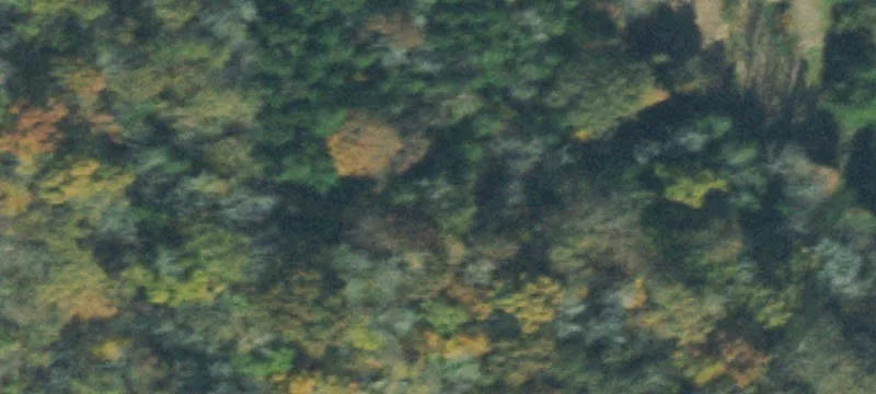 Build-Ready Residential Land Tract