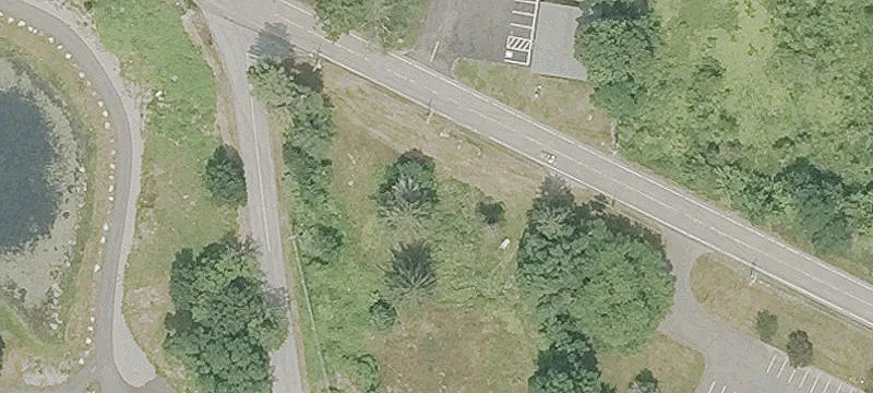 Corner Specialty Property