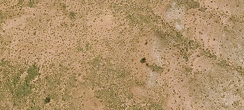 Open Private Farmland Parcel