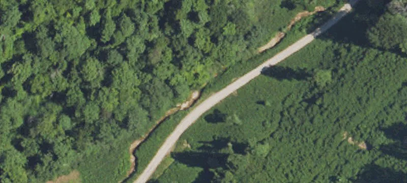 Wooded Recreational Land Tract