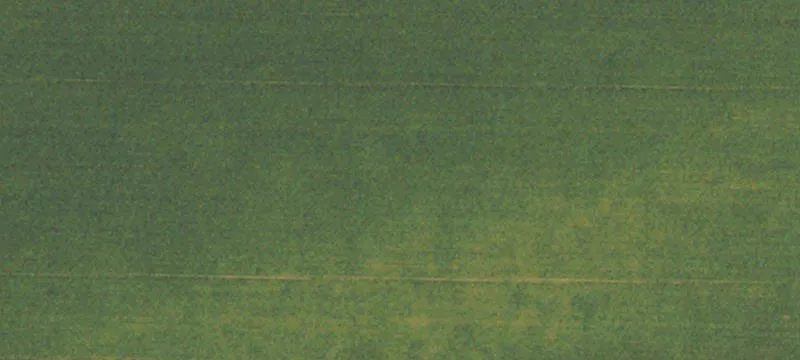 Residential Lot Investment Opportunity