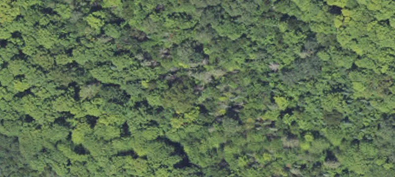 Residential Development Land Lots