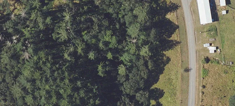 Commercial Farmland Parcel