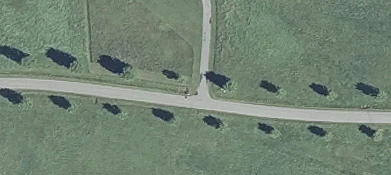 Residential Home Building Lot
