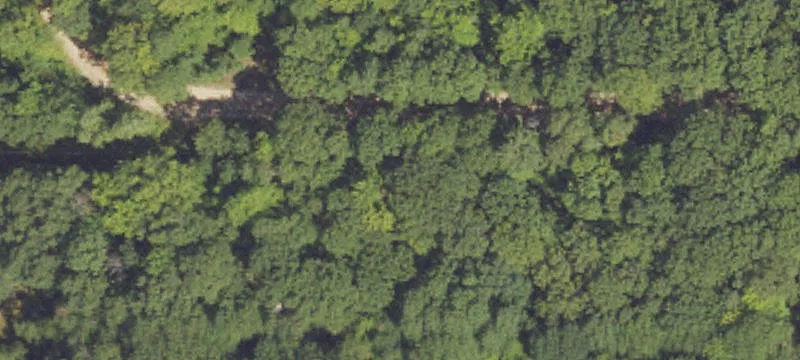 Wooded Hunting Land Parcel