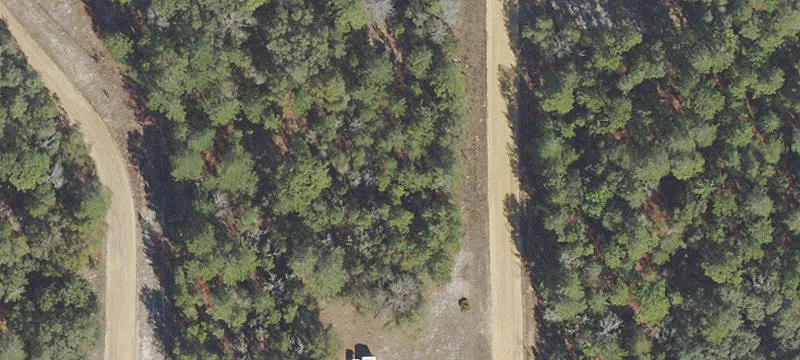 Wooded Buildable Lot