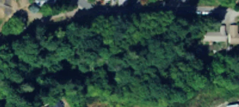 Wooded Infill Building Lot
