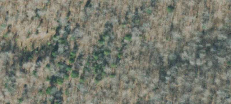 Hunting and Recreation Acreage