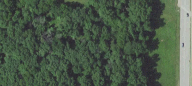 Expansive Wooded Estate Lot