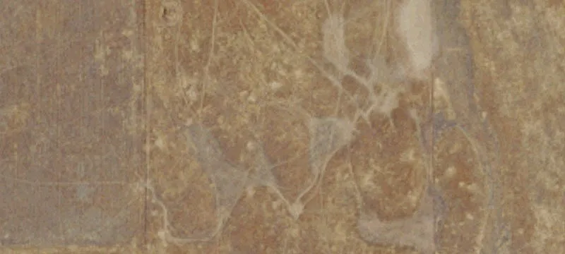Development Land with Waterline