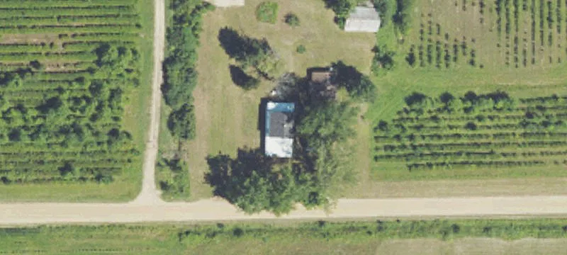 Agricultural Farm with Blueberry Crop
