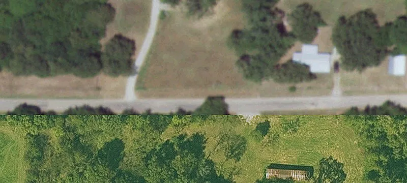 Poultry Farm with 12 Houses