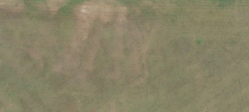 Agricultural Land with Cabin Home