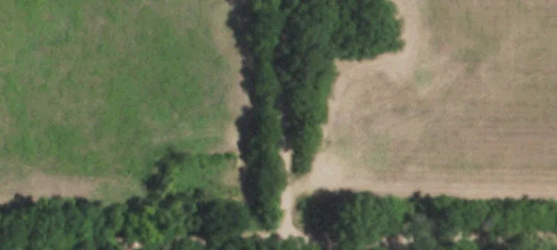 Acreage with Pasture and Trees