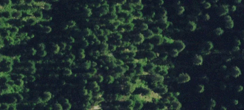 Mountain View Building Lot