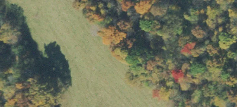Wooded Lake Community Home Site