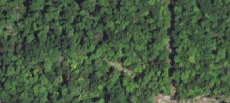 Wooded Lake-View Home Lot