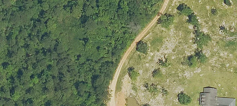 Partially Cleared Recreational Land