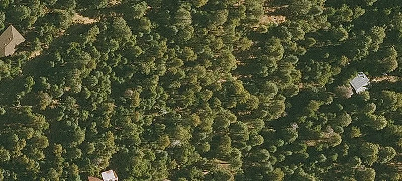 Recreation Land with Cabin Potential
