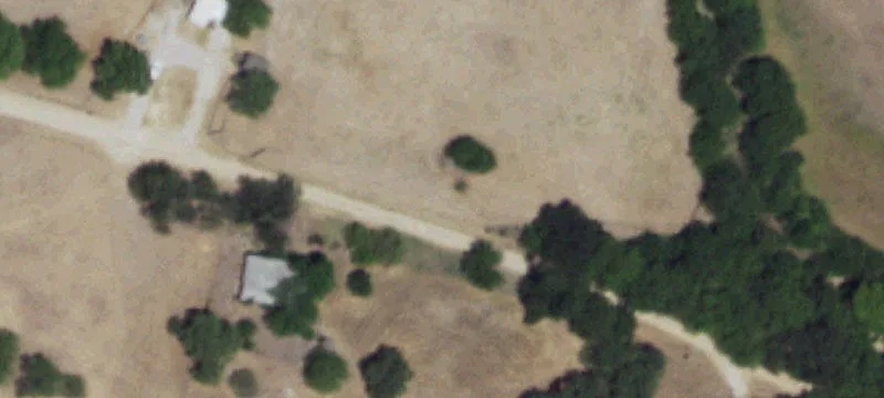 Agricultural Land with Pecan Trees